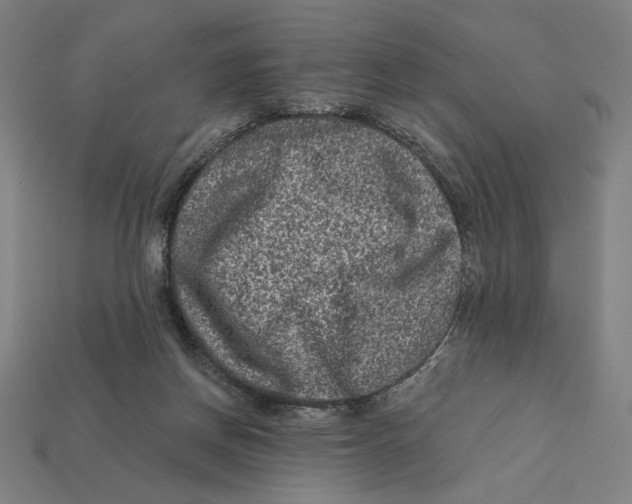 X0000112420166200909111017