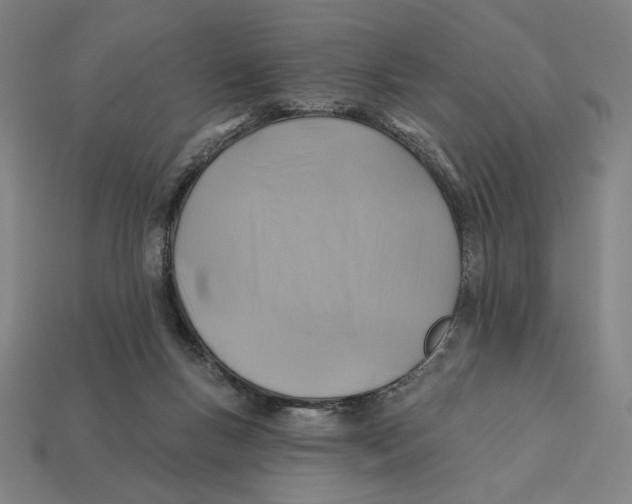 X0000112420167200909111017