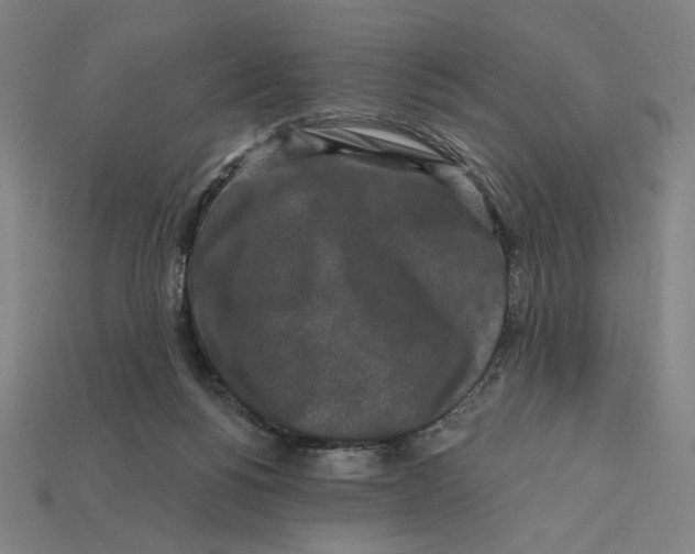 X0000112420168200909111017