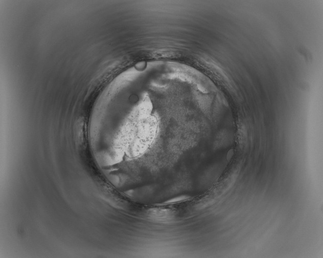 X0000112420169200909111017