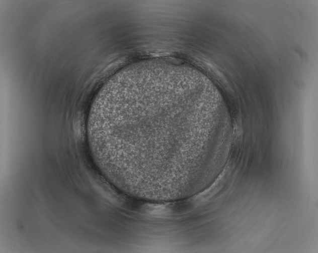 X0000112420170200909111017