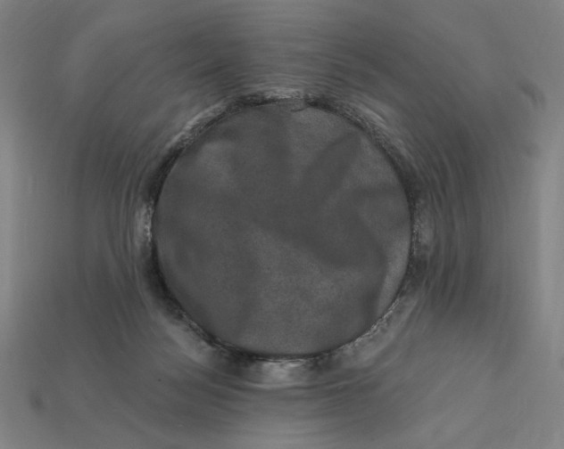 X0000112420172200909111017