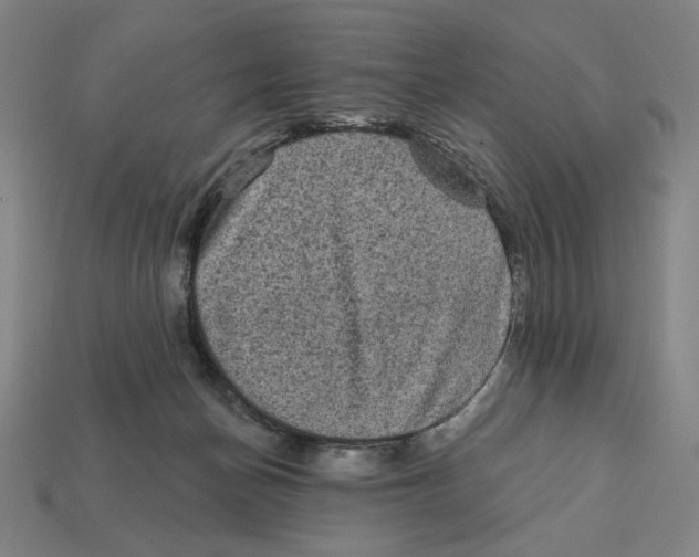 X0000112420174200909111017