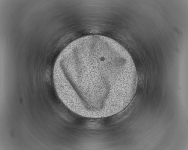 X0000112420175200909111017