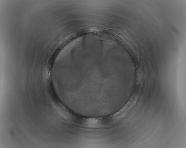 X0000112420176200909111017