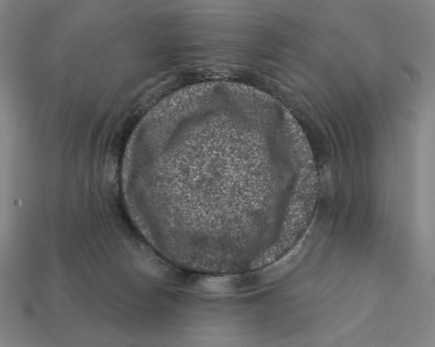 X0000112420178200909111017