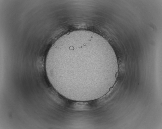 X0000112420179200909111017