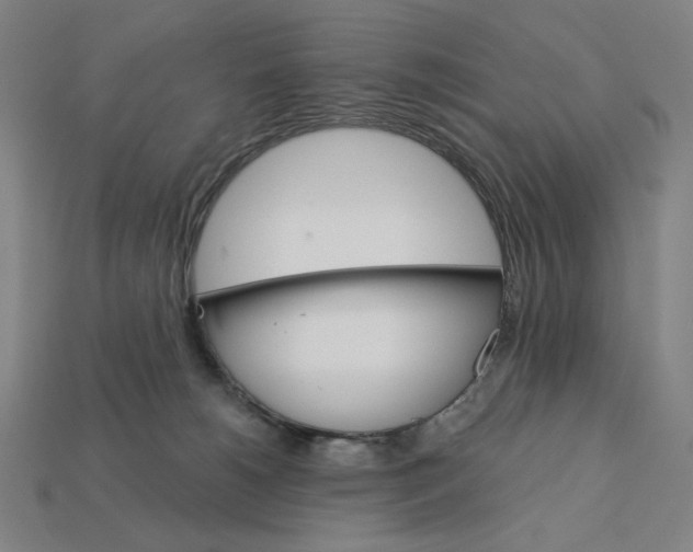 X0000112420180200909111017