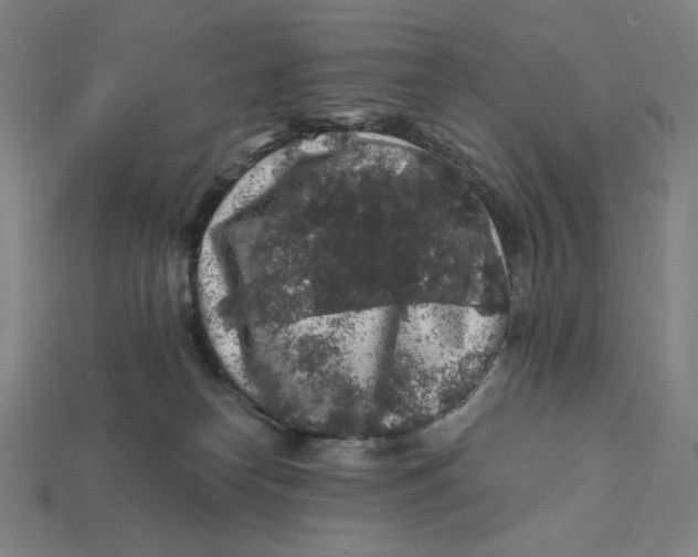 X0000112420182200909111017