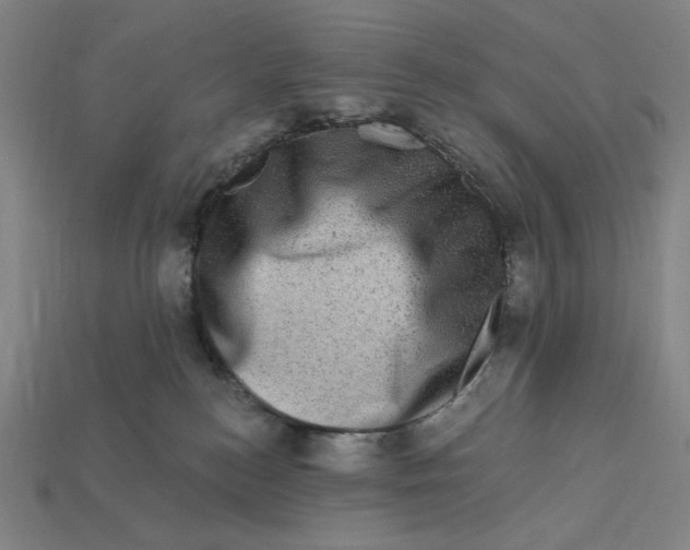 X0000112420184200909111017