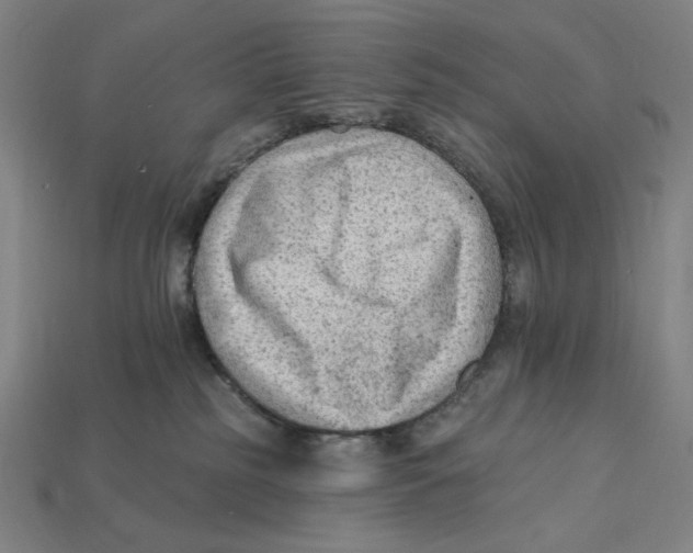 X0000112420185200909111017