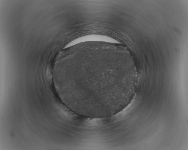 X0000112420186200909111017