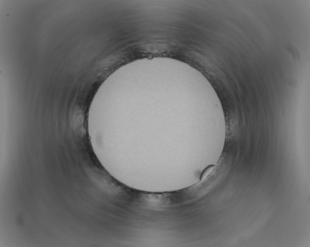 X0000112420187200909111017