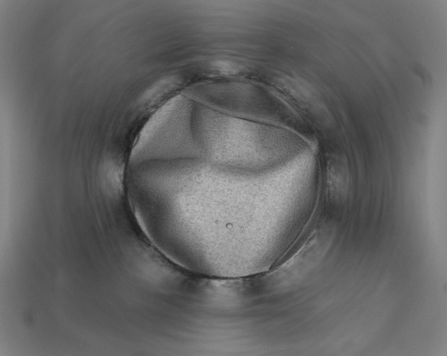 X0000112420188200909111017