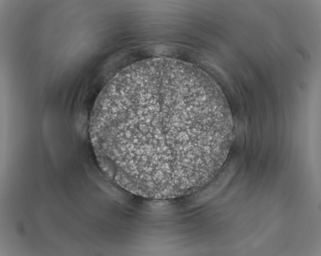 X0000112420189200909111017