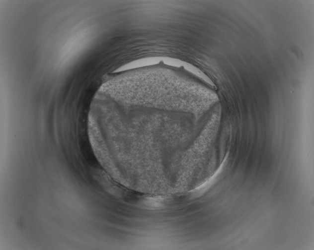 X0000112420190200909111017