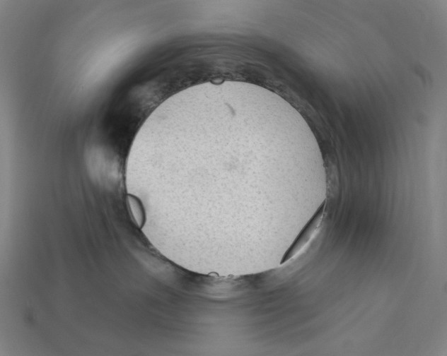 X0000112420191200909111017