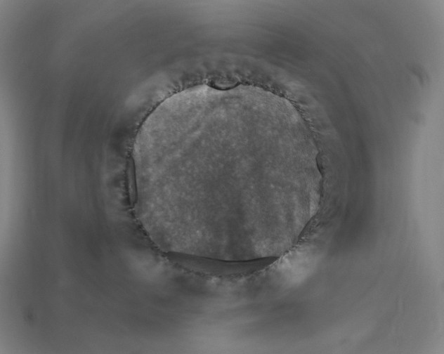 X0000112420192200909111017