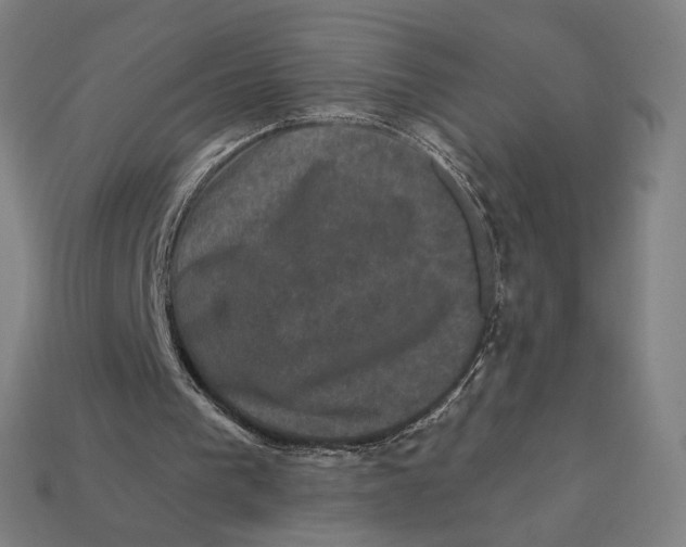 X0000112420193200909111017