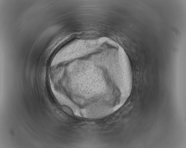 X0000112420194200909111017