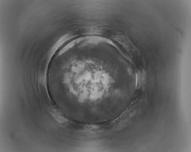 X0000112420195200909111017