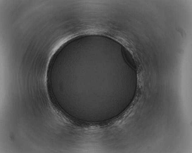 X0000112420196200909111017