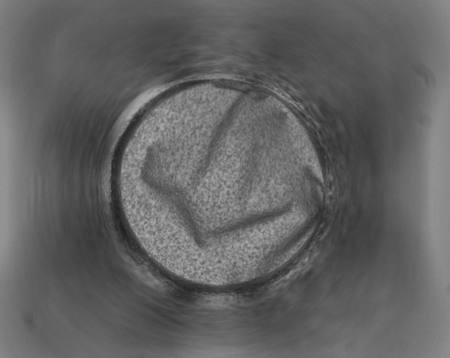 X0000112420200200909111017