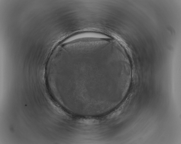 X0000112420201200909111017