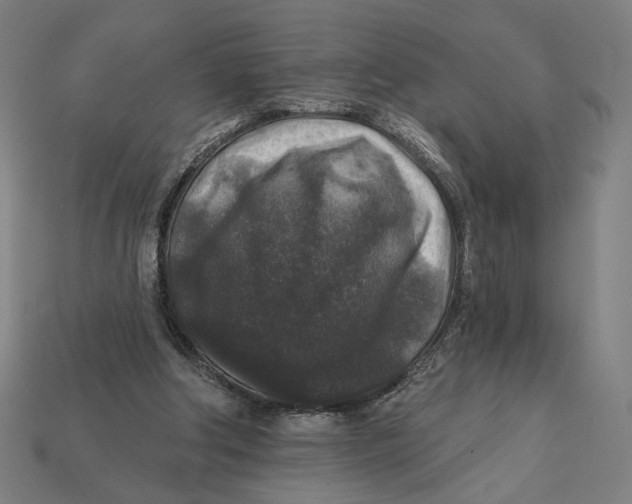 X0000112420202200909111017