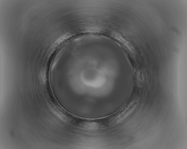 X0000112420203200909111017