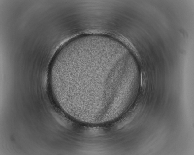 X0000112420204200909111017