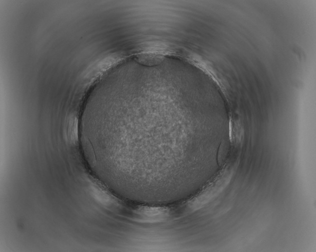 X0000112420205200909111017