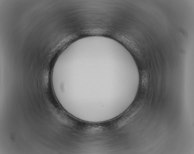 X0000112420206200909111017