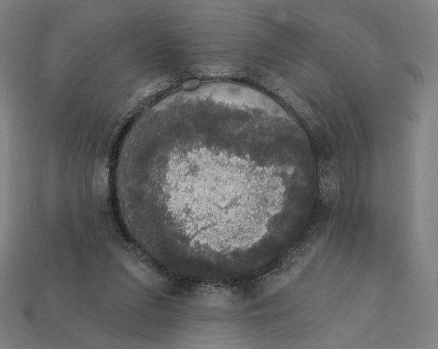 X0000112420207200909111017