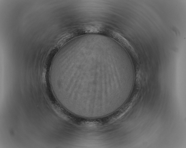 X0000112420209200909111017