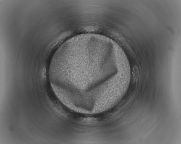 X0000112420212200909111017