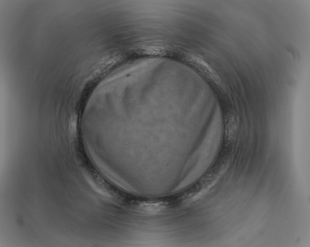 X0000112420213200909111017