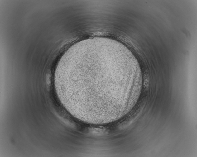 X0000112420215200909111016