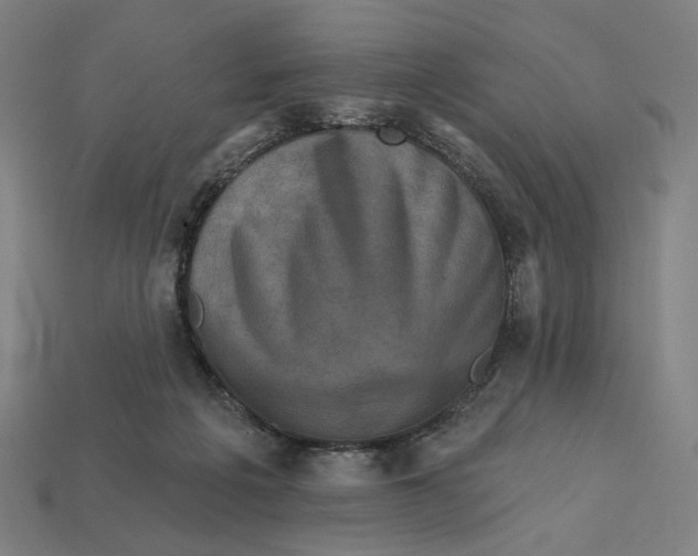 X0000112420217200909111016