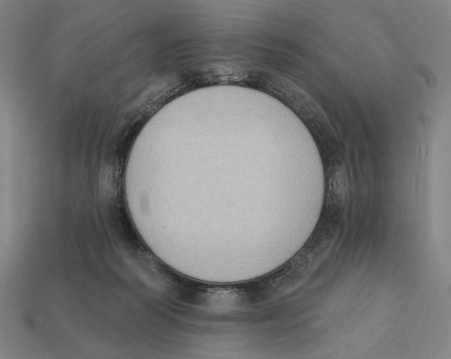 X0000112420218200909111016