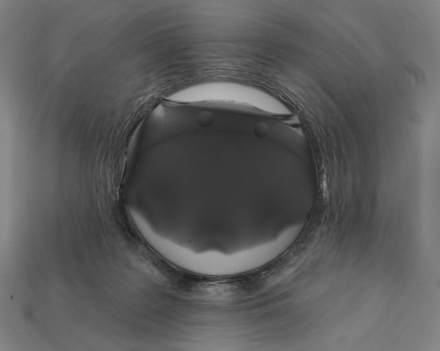 X0000112420219200909111016