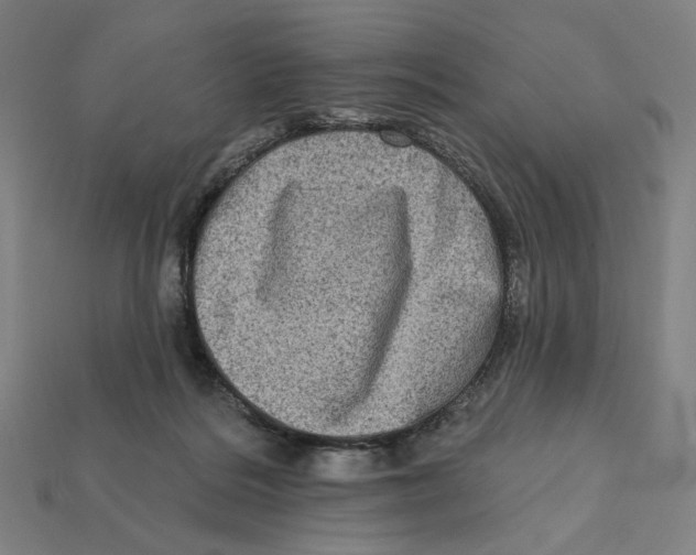 X0000112420220200909111016