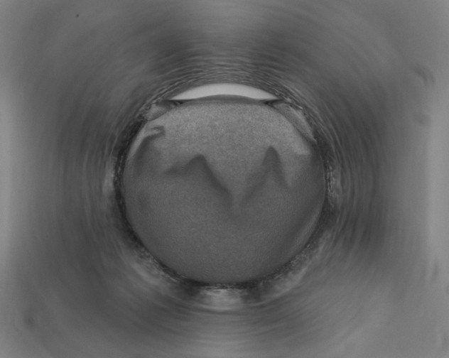 X0000112420221200909111016