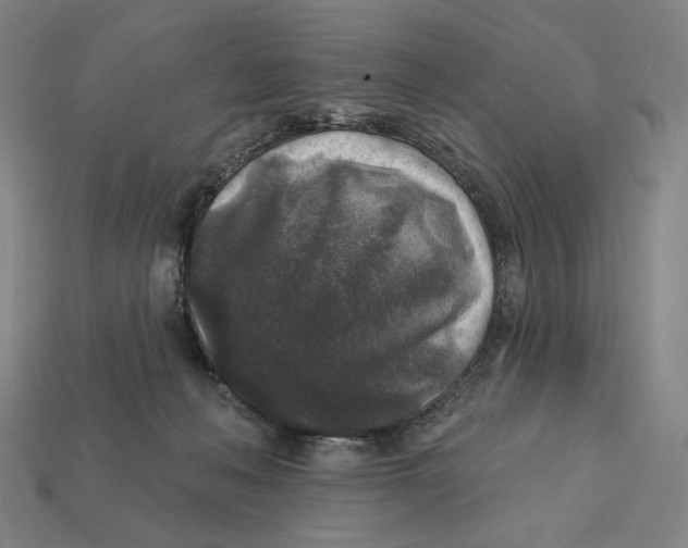 X0000112420222200909111016