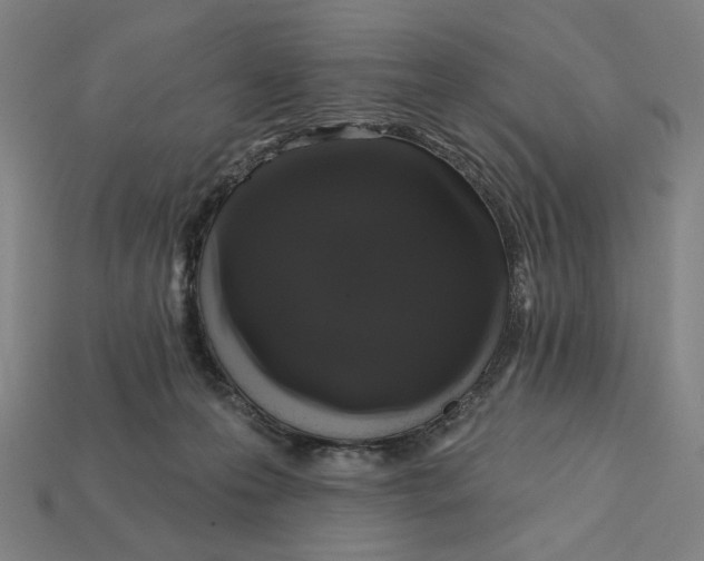 X0000112420223200909111016