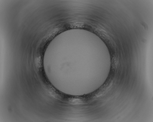 X0000112420224200909111016