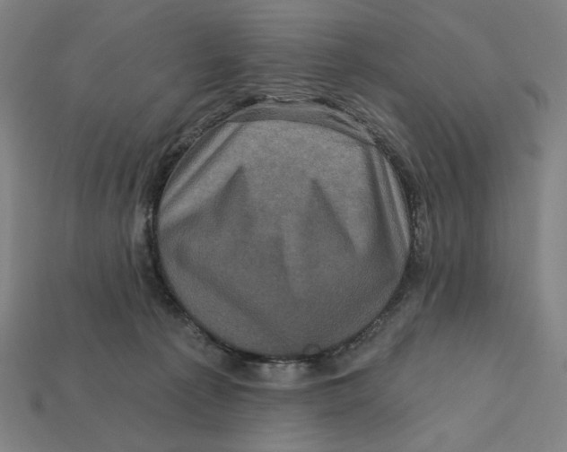 X0000112420225200909111016