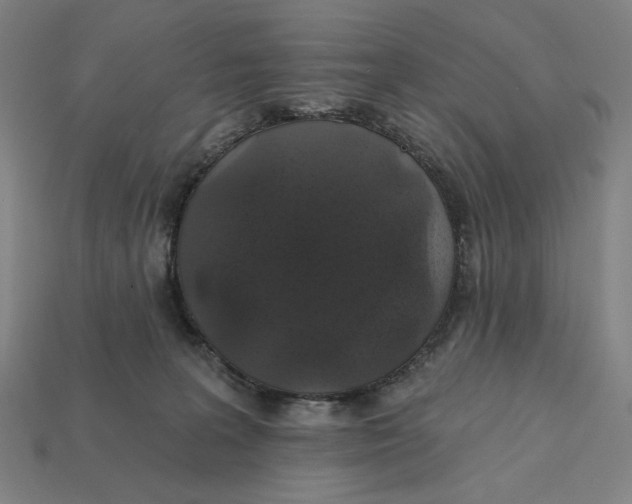 X0000112420227200909111016