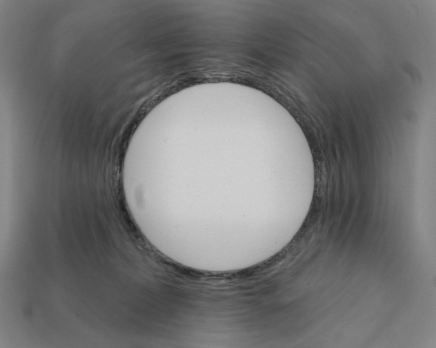 X0000112420228200909111016