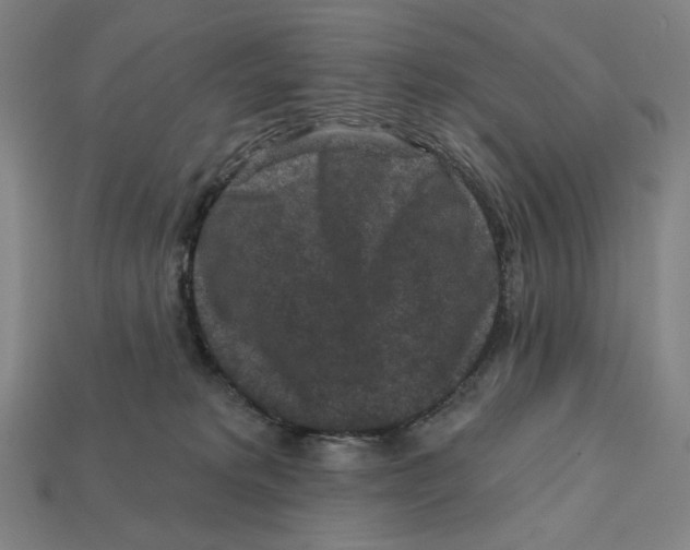 X0000112420229200909111016